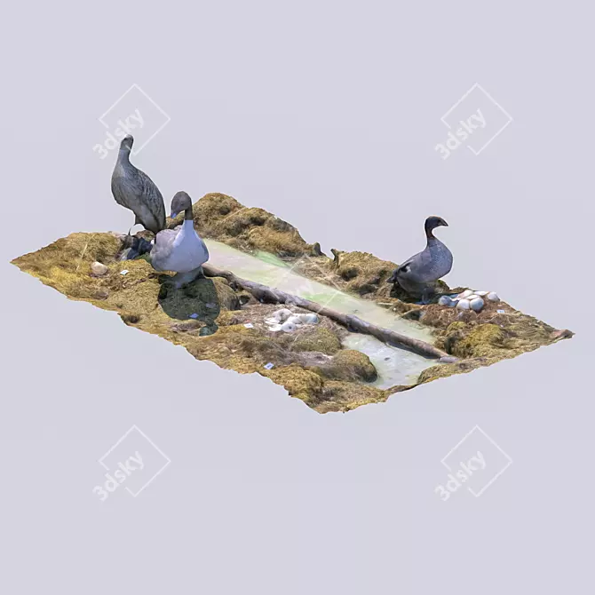 Feathered Wonders Exhibit 3D model image 5