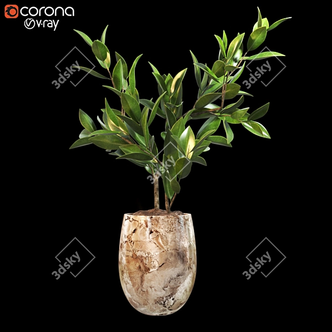 3D Plant Model - High Quality Archive 3D model image 1