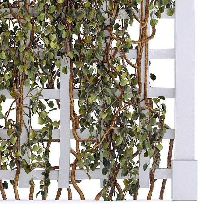 Versatile Trellis for Indoor & Outdoor Plants 3D model image 2