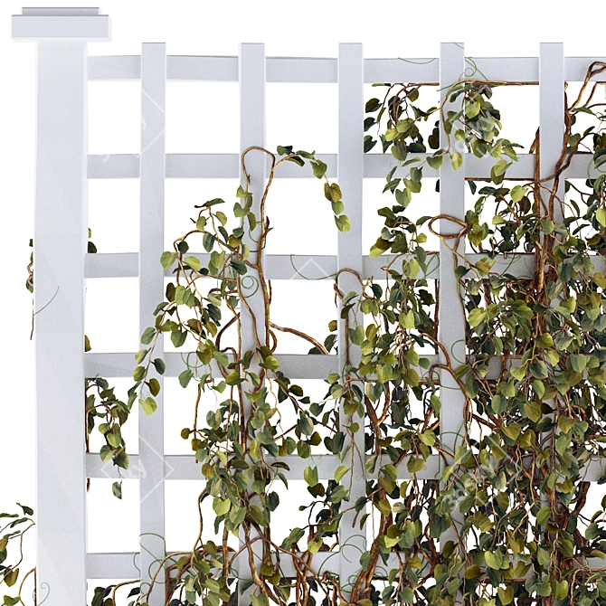 Versatile Trellis for Indoor & Outdoor Plants 3D model image 3