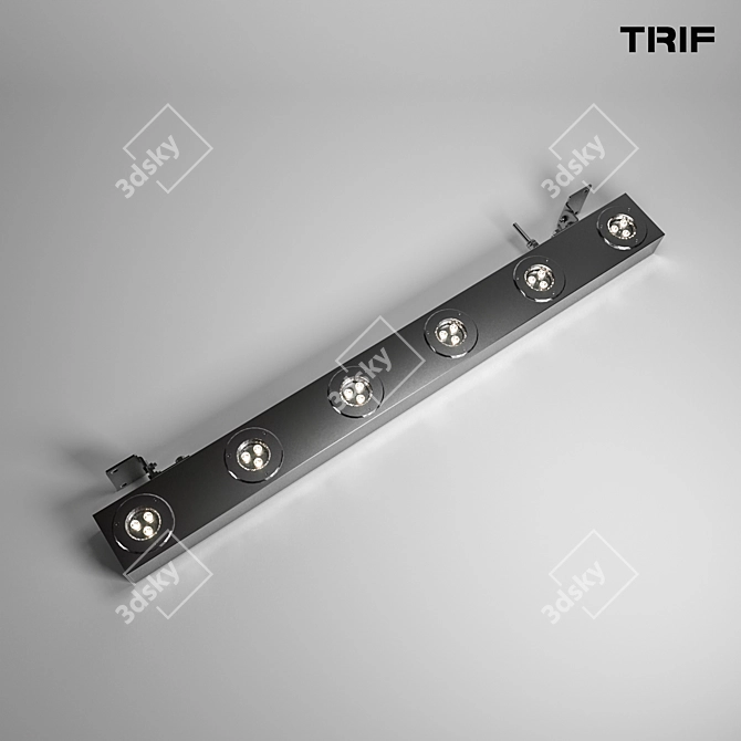 TRIF Architectural Linear Luminaire: LANE FACADE OPTIC 3D model image 2