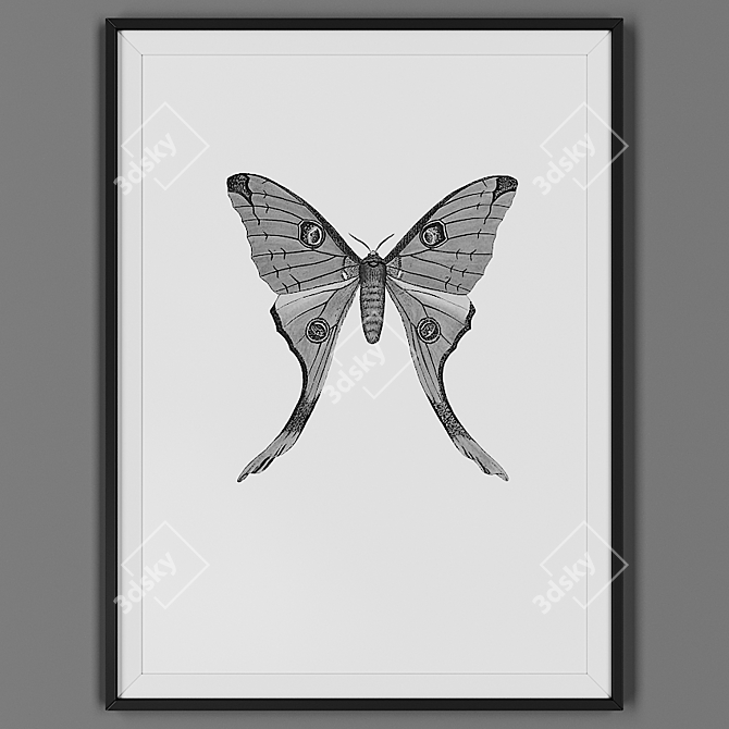 Elegant Black Framed Art 3D model image 1