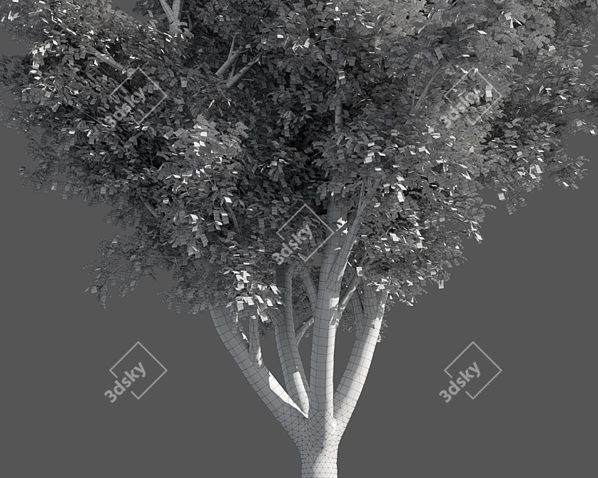  Seasons Tree Pack 3D model image 5