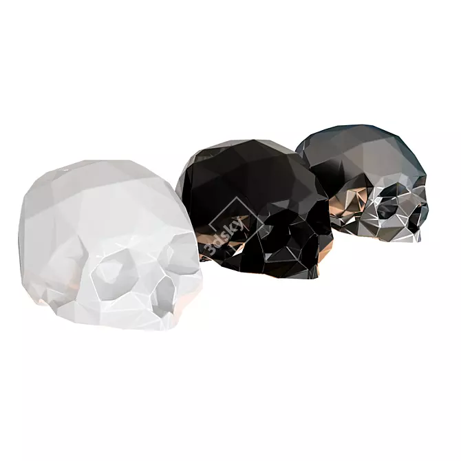 Skull Decor: Dark and Edgy Home Accent 3D model image 1