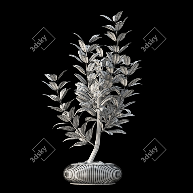 3D Plant Model 3D model image 3