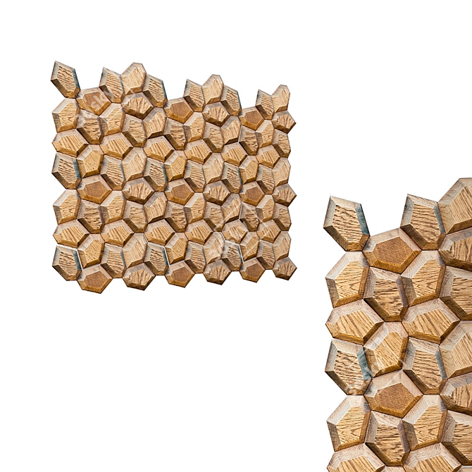 Wooden Hexagon Mosaic Panel 3D model image 1