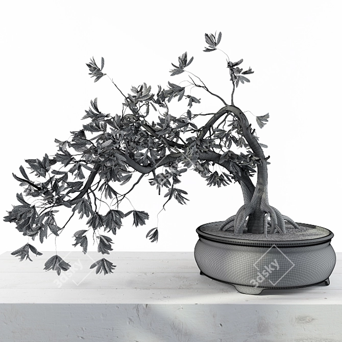 Miniature Broadleaf Bonsai 3D model image 3