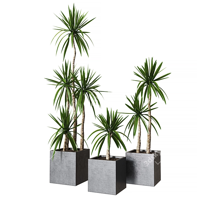 Yucca Pot: Stylish Indoor Plant Collection 3D model image 1