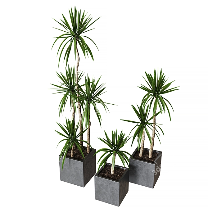 Yucca Pot: Stylish Indoor Plant Collection 3D model image 2