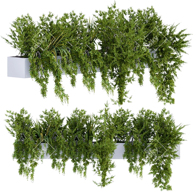 Leafy Charm: Ivy Plants in Box 3D model image 1