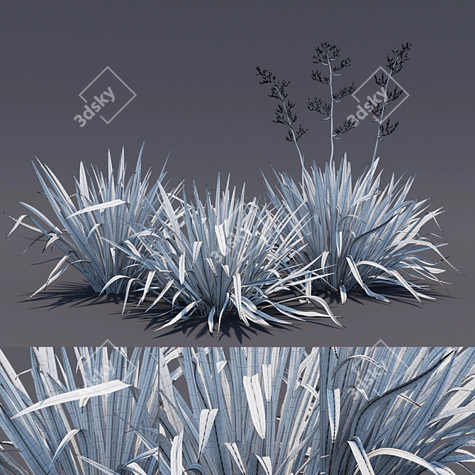 Exquisite Phormium Collection 3D model image 2