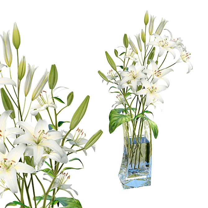 Ethereal Lilium Blossom 3D model image 1