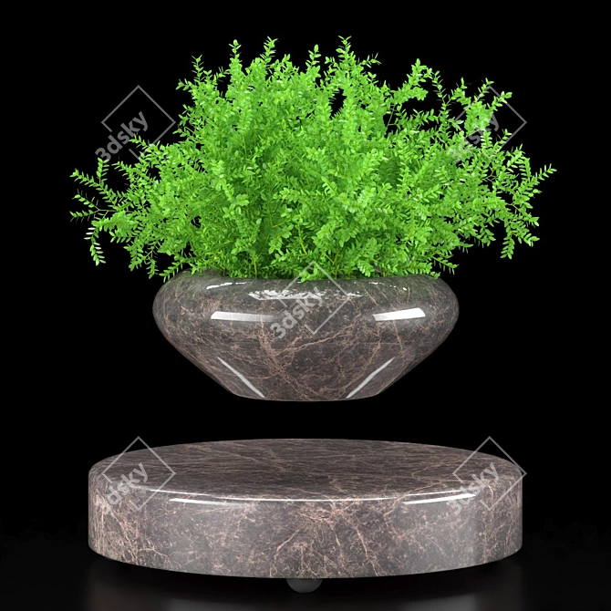 Levitating Plant Collection: Hamedorea, Carmona, Selaginella 3D model image 4