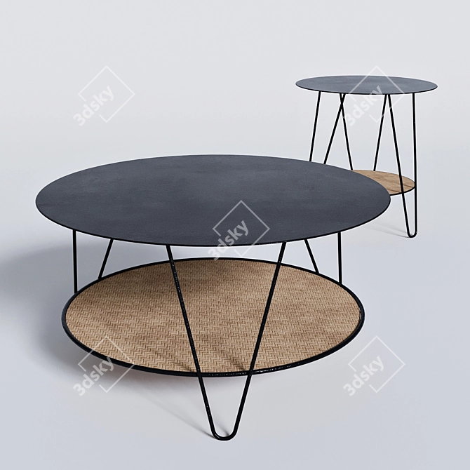 Elegant Metal and Rattan Rosali Tables 3D model image 1
