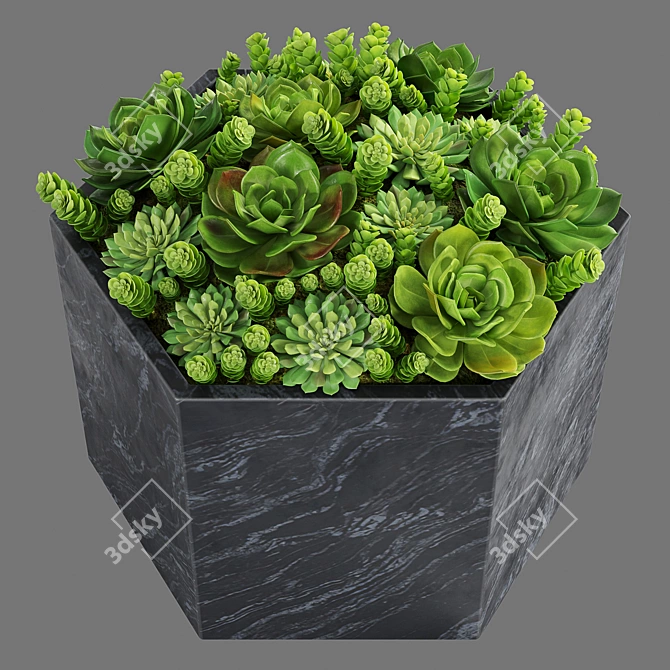 Corona & V-Ray Black Marble Trough 3D model image 2