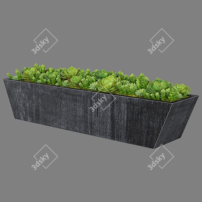 Corona & V-Ray Black Marble Trough 3D model image 4