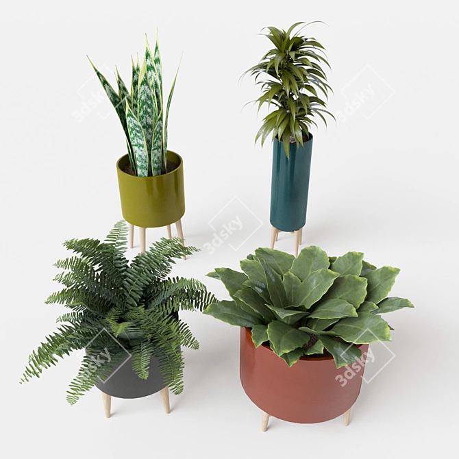 Elegant Florian Flowerpot Set 3D model image 2