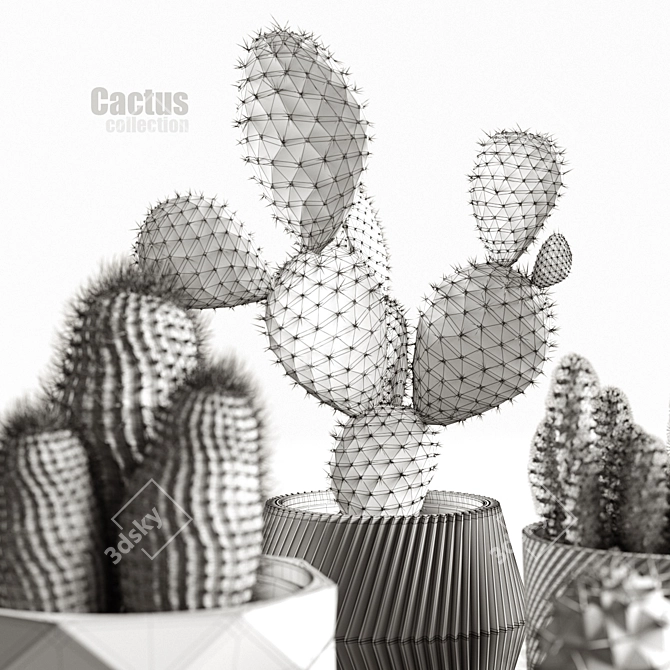 Succulent Sensations: Cactus Collection 3D model image 4