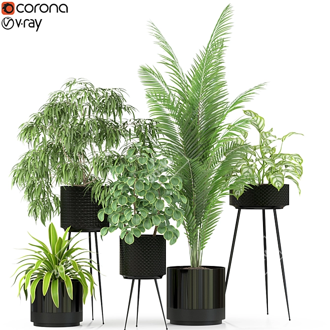 Green Oasis: 240 Plant Collection 3D model image 1
