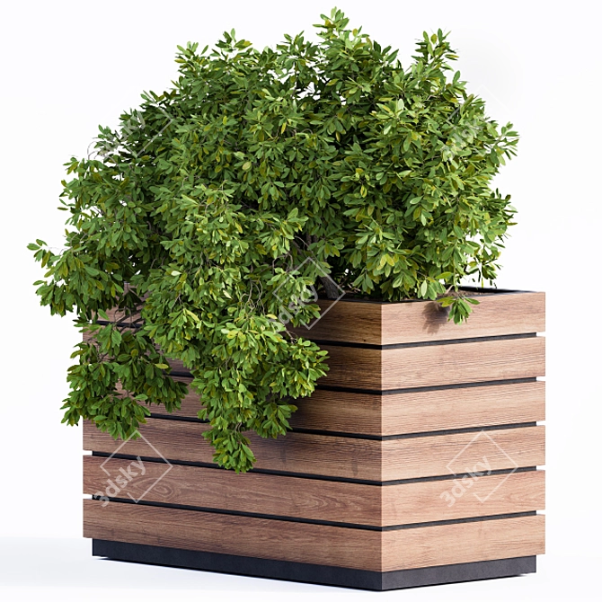 Green & Wood Plant Box 3D model image 2