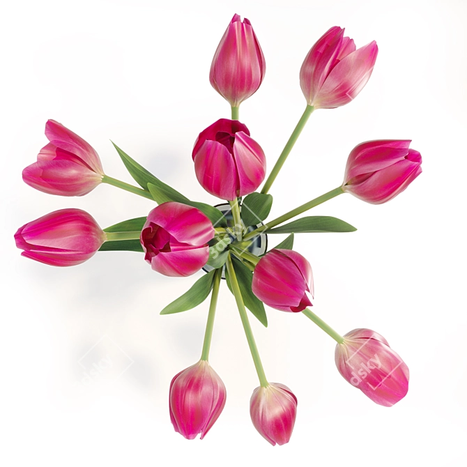 Elegant Tulip Bouquet 3D model image 3