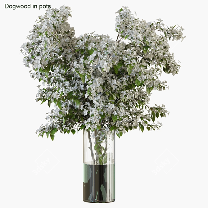 Luxury Branches Vases 34 3D model image 1