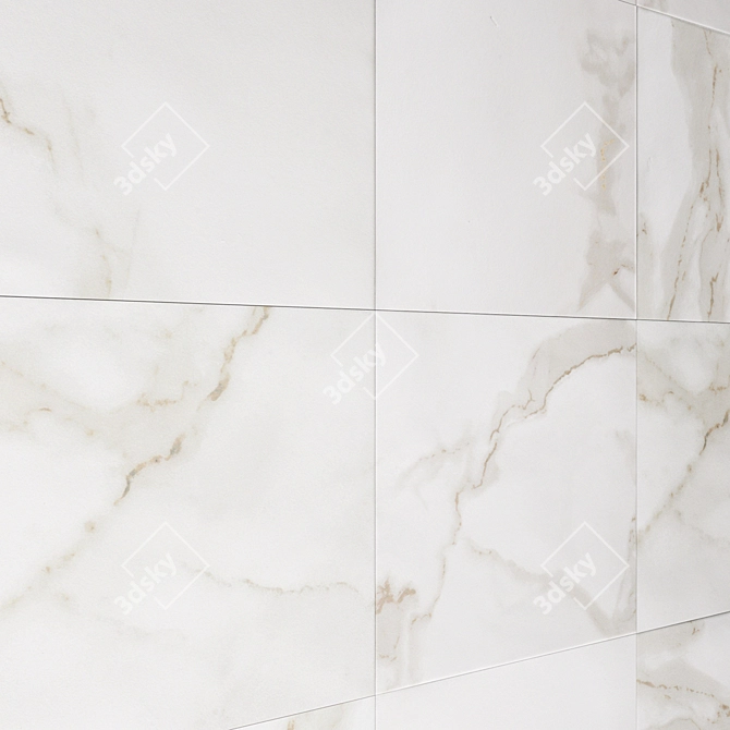 Elegant White Calacatta Marble 3D model image 2