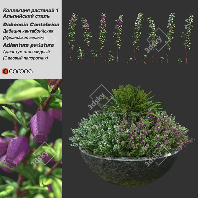 Botanical Bliss: Vase with Heather and Fern 3D model image 1