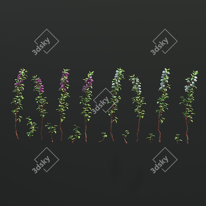 Botanical Bliss: Vase with Heather and Fern 3D model image 4