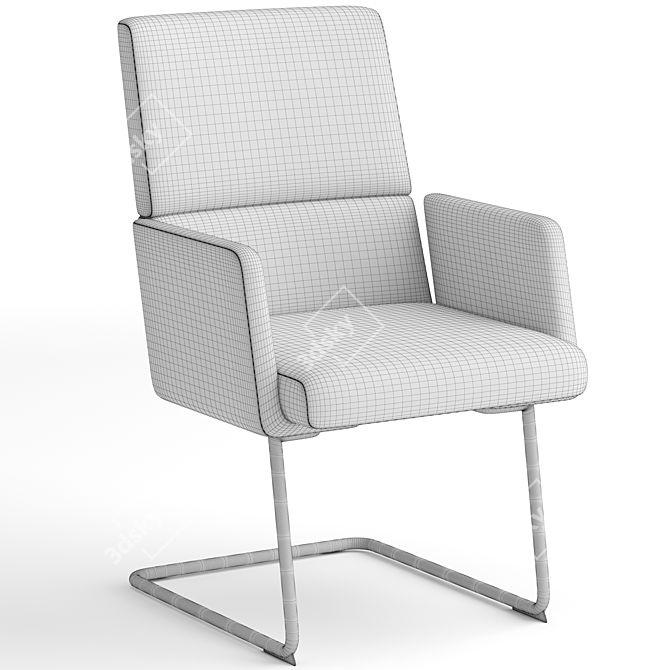 Elegant de Sede DS-414 Chair 3D model image 4