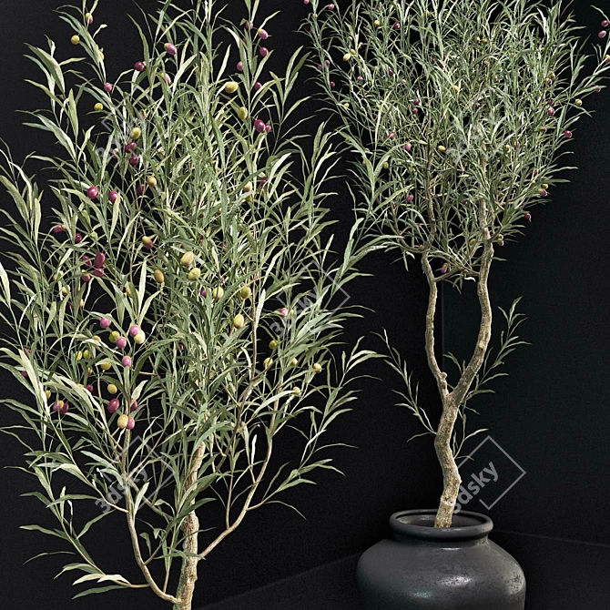 Elegant Olive Tree Set: Interior & Exterior 3D model image 4