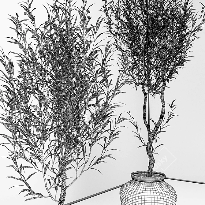 Elegant Olive Tree Set: Interior & Exterior 3D model image 5