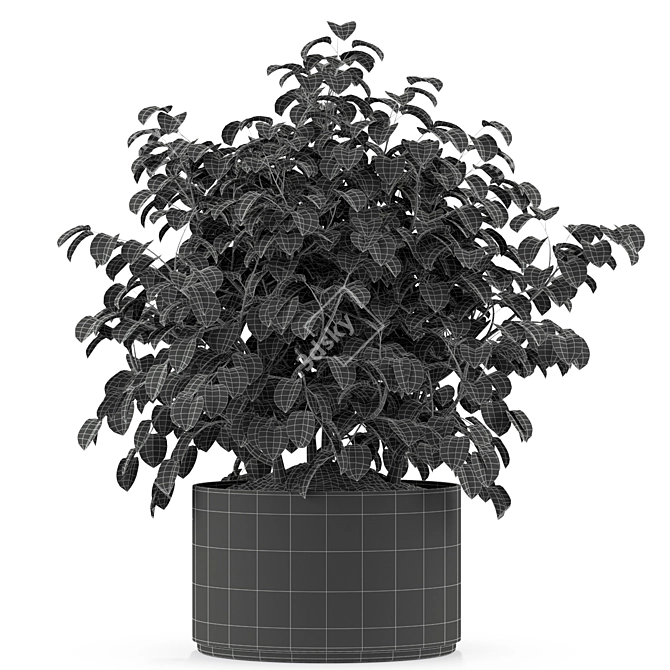 Aesthetic Plants Collection 246 3D model image 2