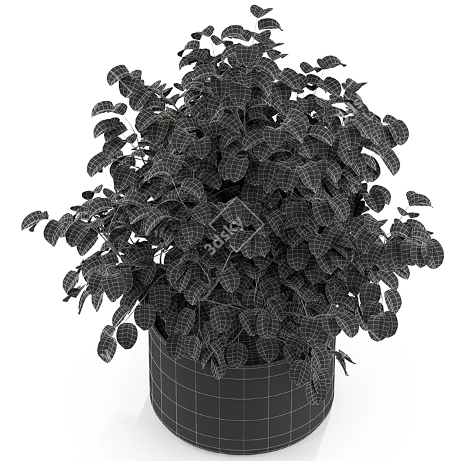 Aesthetic Plants Collection 246 3D model image 4