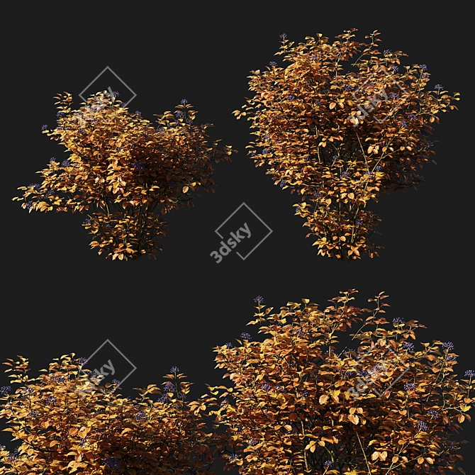 Vibrant Yellow Viburnum for Your Garden 3D model image 1
