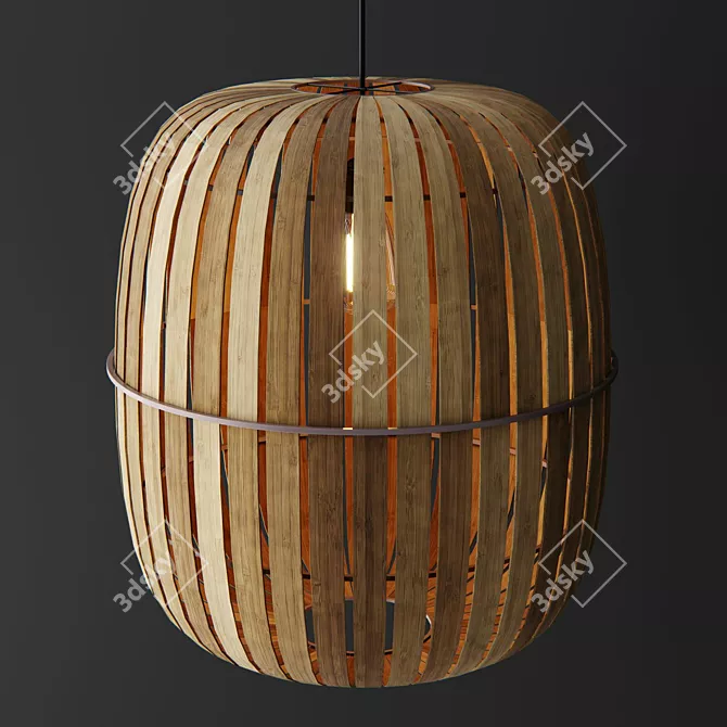 Natural Bamboo Kiwi Wren Lamps 3D model image 1