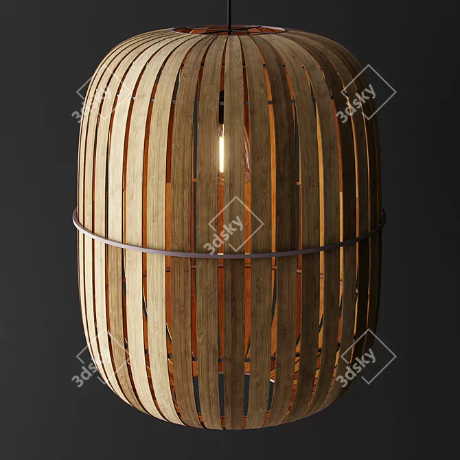 Natural Bamboo Kiwi Wren Lamps 3D model image 2