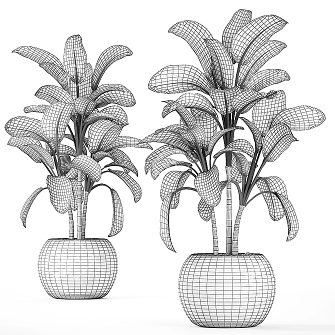 Exotic Plant Collection: Dieffenbachia Spotting 3D model image 5