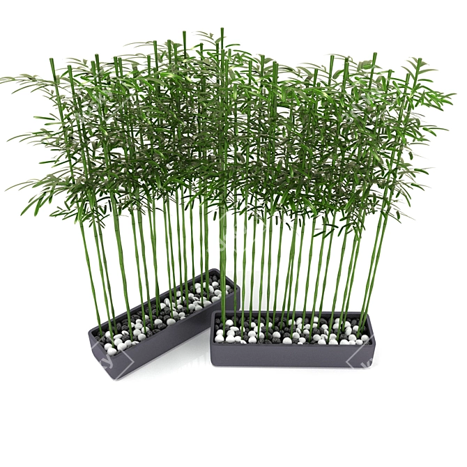 Natural Bamboo Garden Fence 3D model image 2