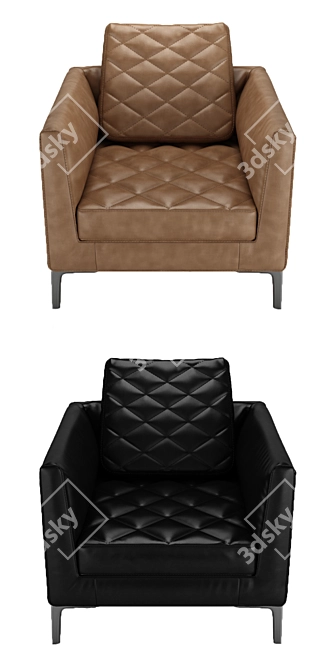 Luxurious DS-48 Armchair by de Sede 3D model image 6