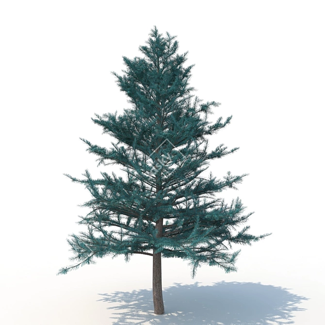 Spruce V1: High-Quality 3D Tree Model 3D model image 3