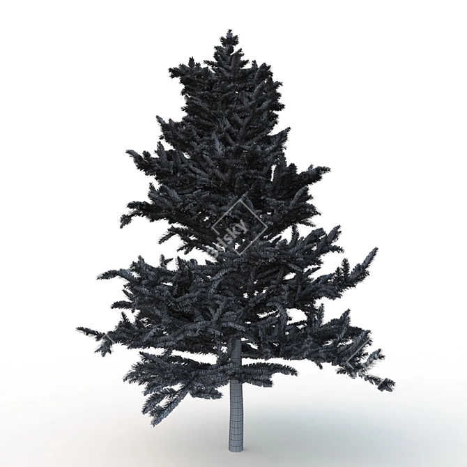 Spruce V1: High-Quality 3D Tree Model 3D model image 5