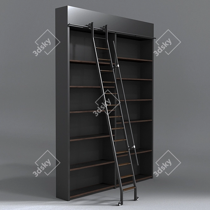 Versatile Ladder & Bookshelf 3D model image 1