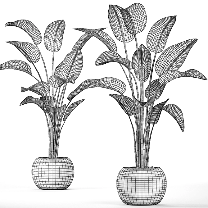 Exotic Houseplant Collection 3D model image 5