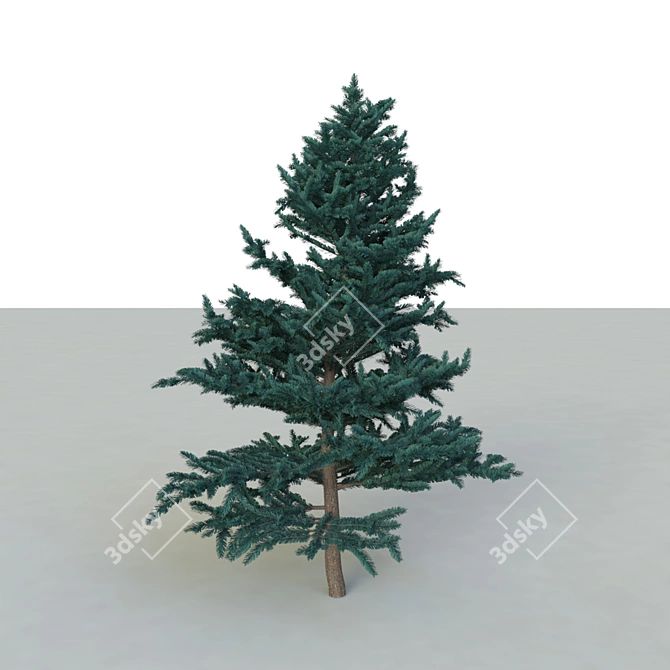 Spruce V2: High-Quality 3D Tree 3D model image 3