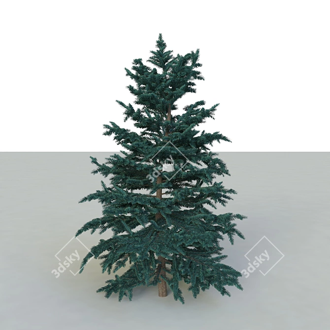 Spruce V3 - High-quality 3D Tree Model 3D model image 3