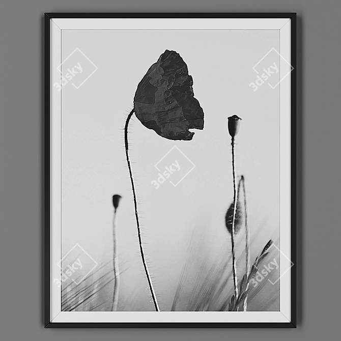  Elegant Black Picture Frame 3D model image 1