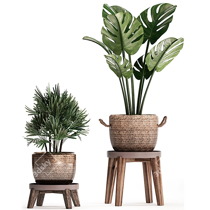 Exotic Indoor Plant Collection 3D model image 2