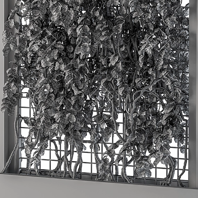 Elegant Gray Ivy Box Plants 3D model image 4