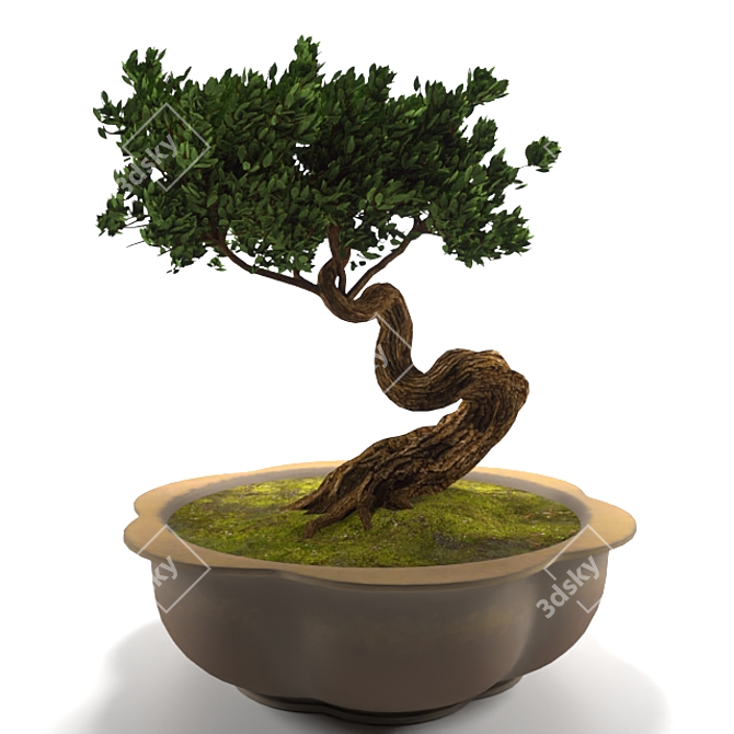 Miniature Bonsai Tree for Elegant Décor 3D model image 1